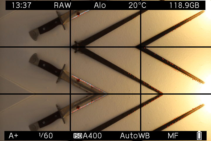 EOS M LiveView showing mirrored wall-mounted objects with camera overlays and a composition grid